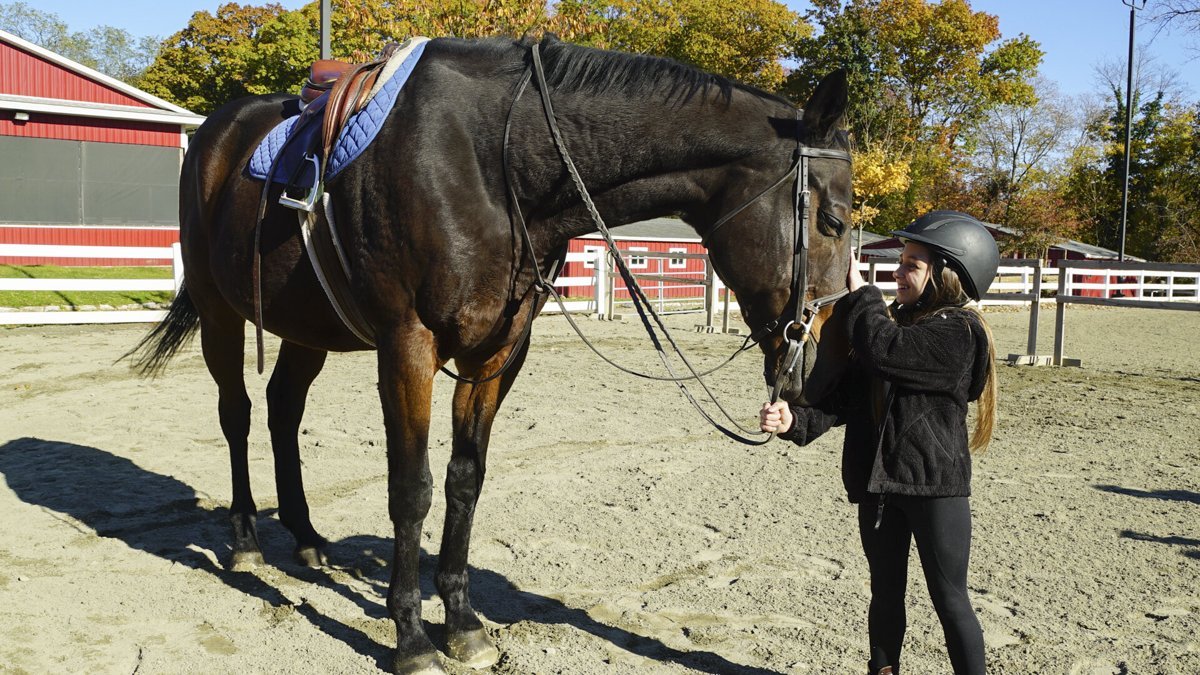 Shauna Rae in a riding helmet standing beside a horse at a farm